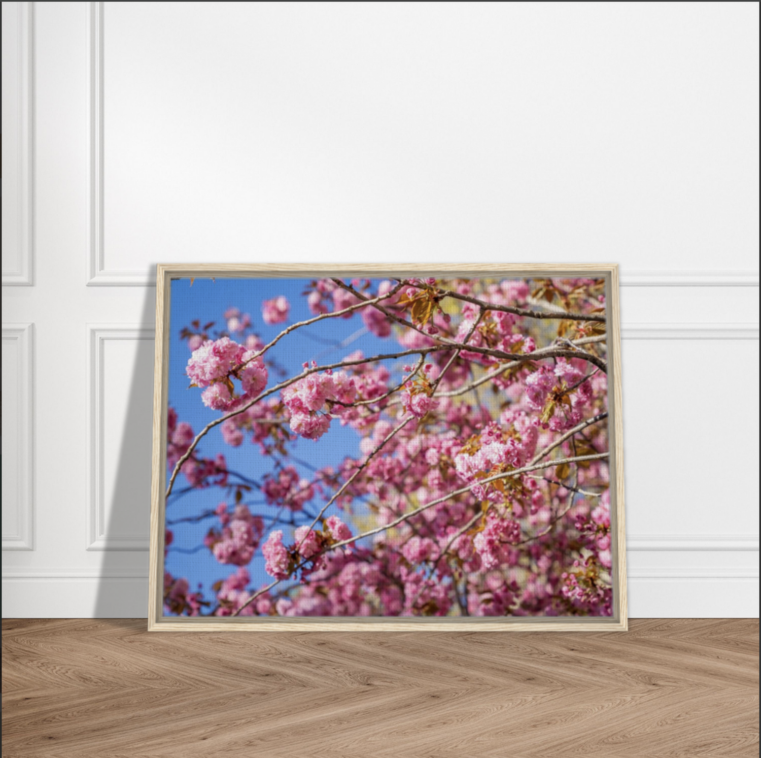 NEW Wooden Framed Canvas Collection