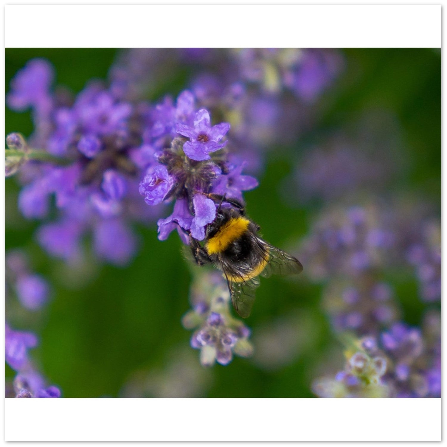 New Greeting and Christmas Card Collection!