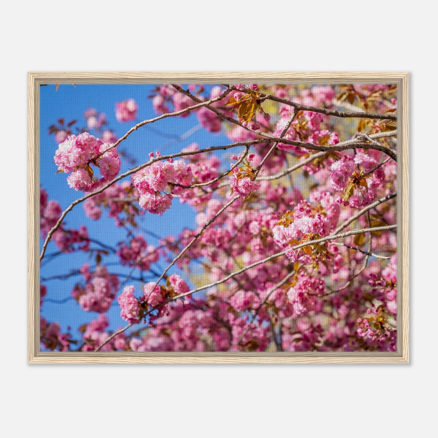133db6cf-5553-4279-8c96-8ad4e4cc5d4a
