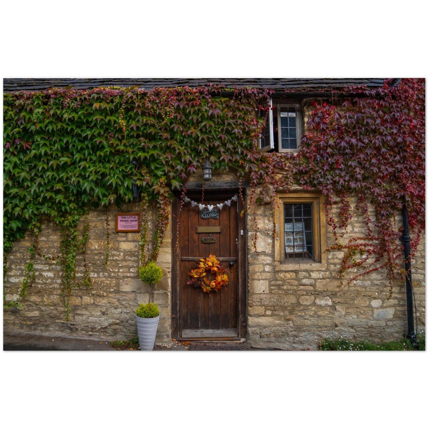 6facf394-50d0-4a04-aab6-81b50a7e887a