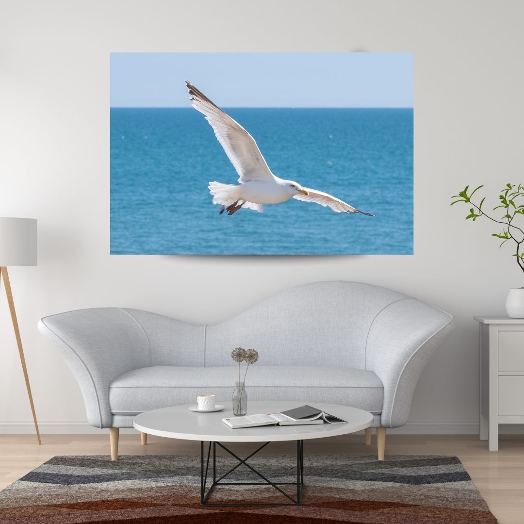 Seagulls of Brighton- PRINTABLE DIGITAL IMAGE - Summer Seaside Collection
