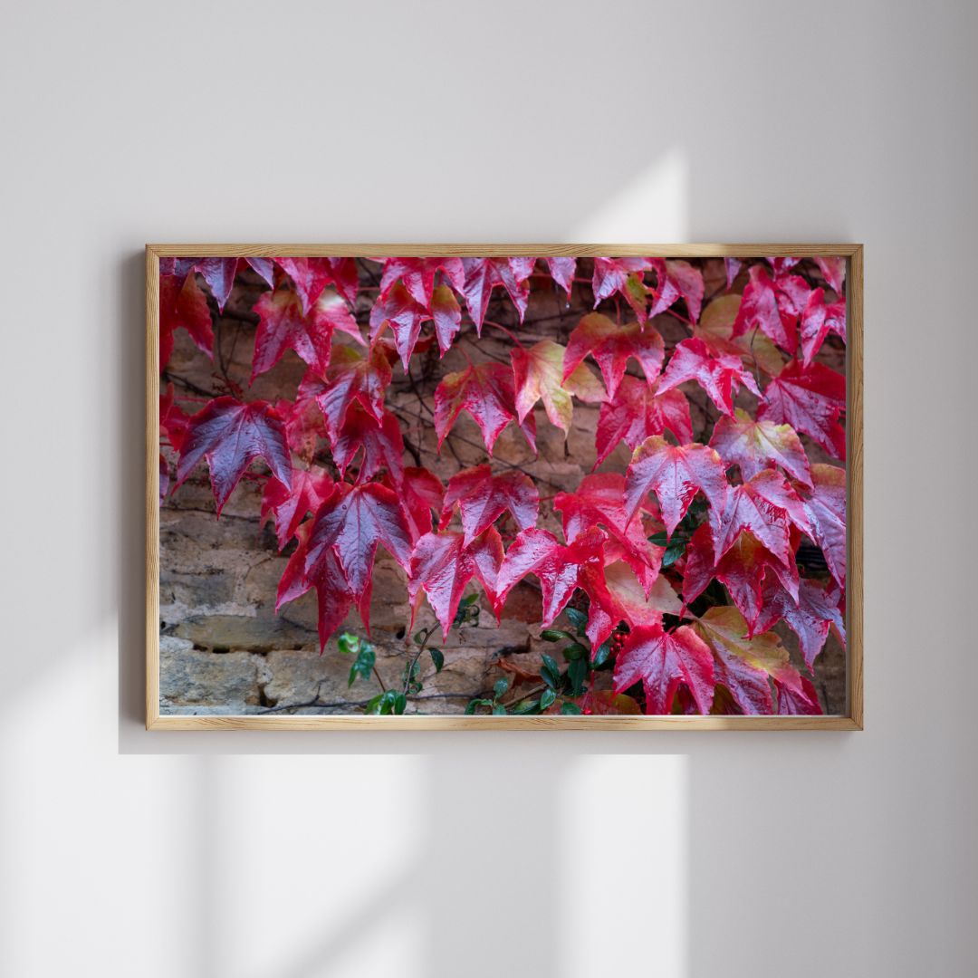 Fall Foliage in the Cotswolds - PRINTABLE DIGITAL IMAGE - Fall/Autumn Collection