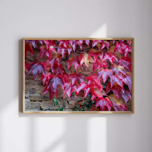 Fall Foliage in the Cotswolds - PRINTABLE DIGITAL IMAGE - Fall/Autumn Collection