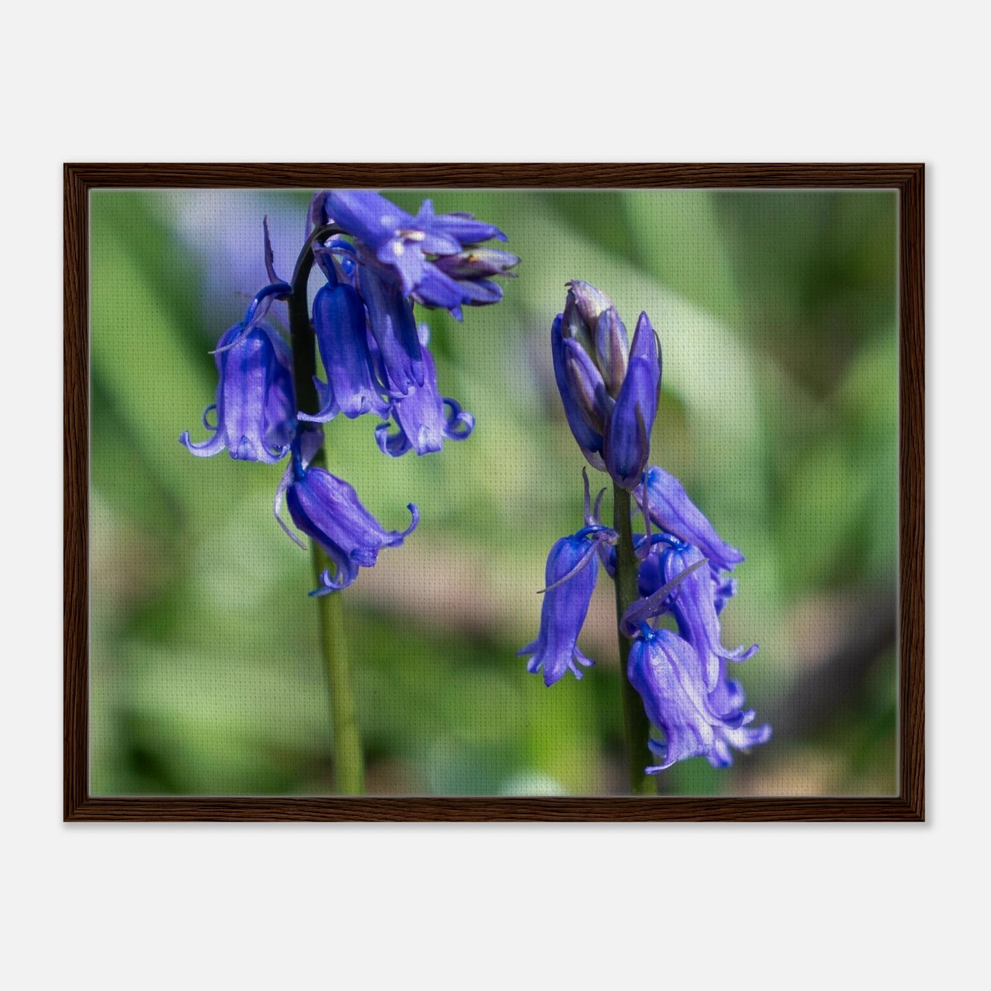 cc3827d9-f1de-4f0b-85ce-f65042227867