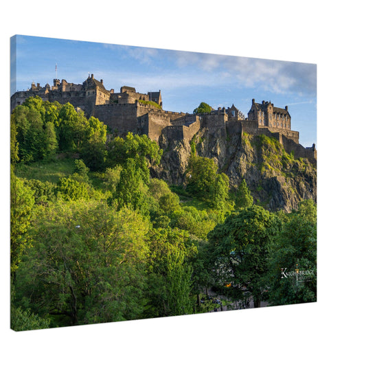 f1312d5a-0486-4aa8-a6f7-11853e9a54d2