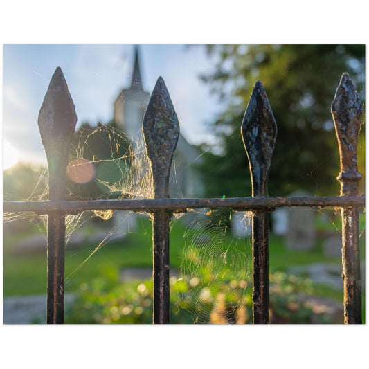 f24d12e1-3494-4559-ad90-08db46f2195d